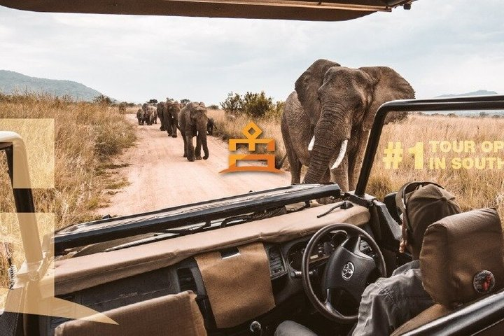 3 Hour Pilanesberg Afternoon Open Vehicle safari drive (Self drive) - Photo 1 of 16